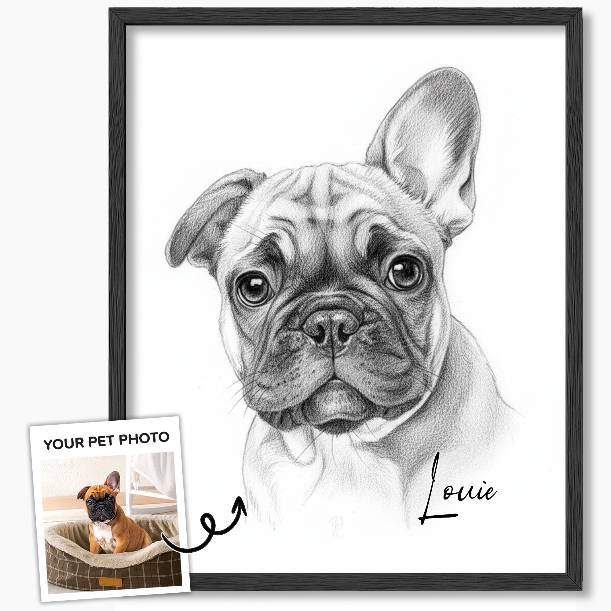 Custom Sketch Pet Portrait from Photo, Personalized Dog & Cat Digital Art, Hand-Drawn Style Illustration, Pet Memorial Gift